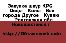 Закупка шкур КРС , Овцы , Козы - Все города Другое » Куплю   . Ростовская обл.,Новошахтинск г.